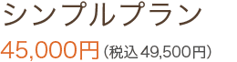 シンプルプラン 45,000円（税込49,500円）