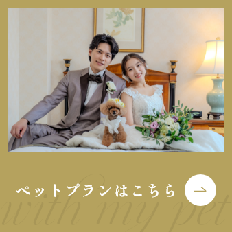 ペットプランはこちら