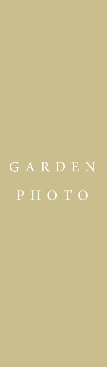 garden photo
